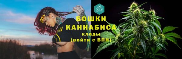 спайс Баксан