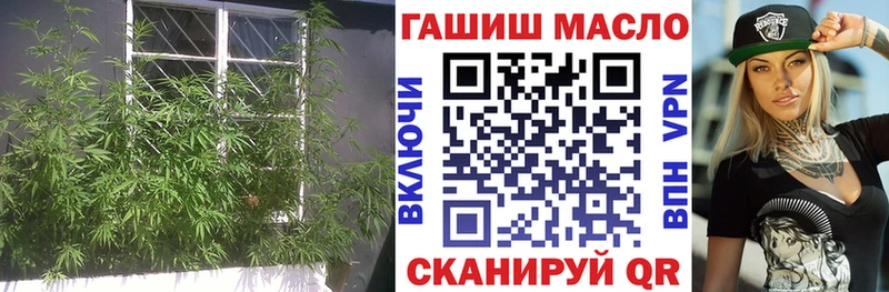 Дистиллят ТГК Wax  Сосновый Бор 